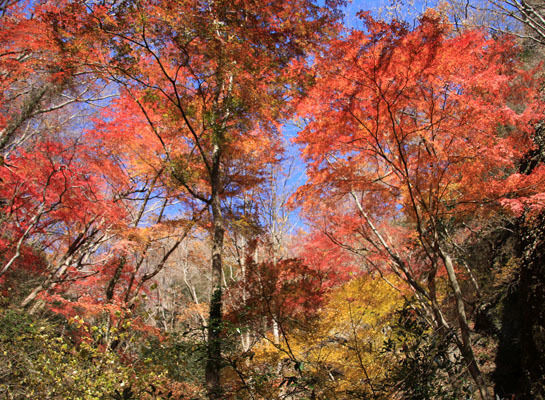 20151205nantaisan-007.jpg
