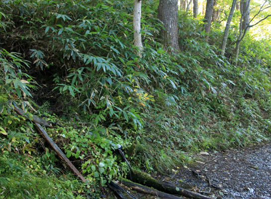 20151006kisokoma-005.jpg