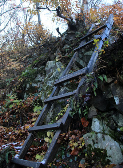 20161104amakazariyama-006.jpg