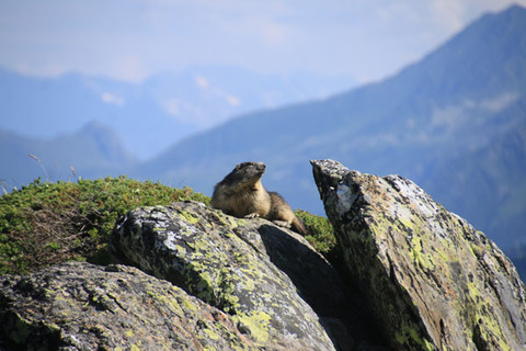 20190726aiguilledumidi-013