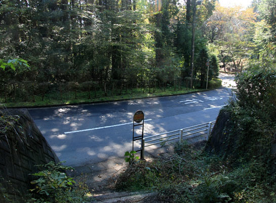 20151018ogiyama-019.jpg