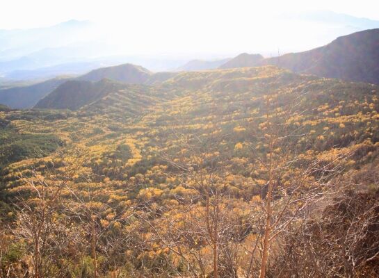 20131013yatu-013.jpg