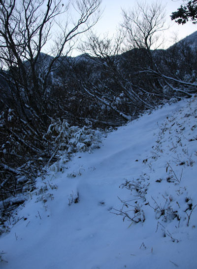 20161104amakazariyama-008.jpg