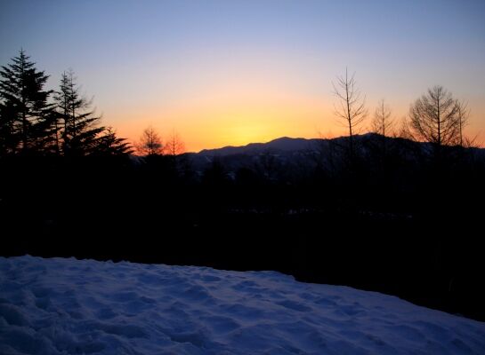 20140322mitugashira-003.jpg