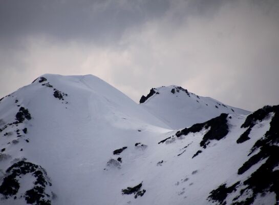 20140426senjyo-022.jpg