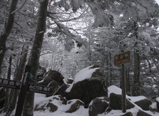 20151226yatugatake-019.jpg