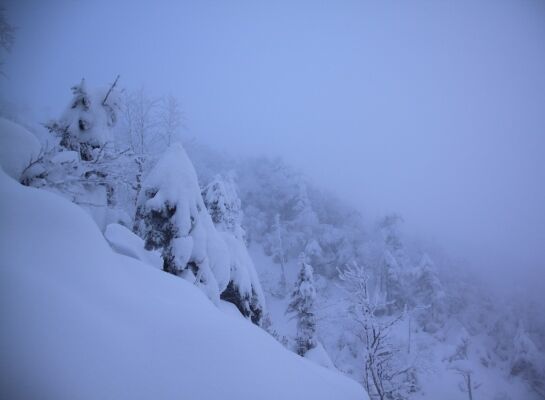 20131221yatugatake-102.jpg