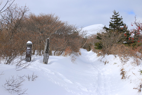 20170104adatarayama-009