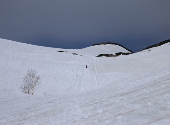 20150425karmatudake-012.jpg