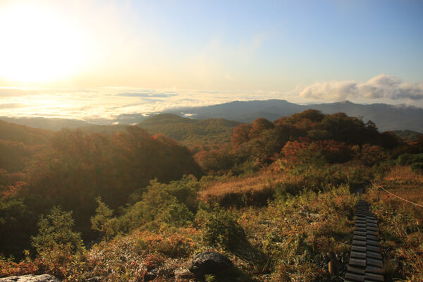 20171012yakeishidake-007.jpg