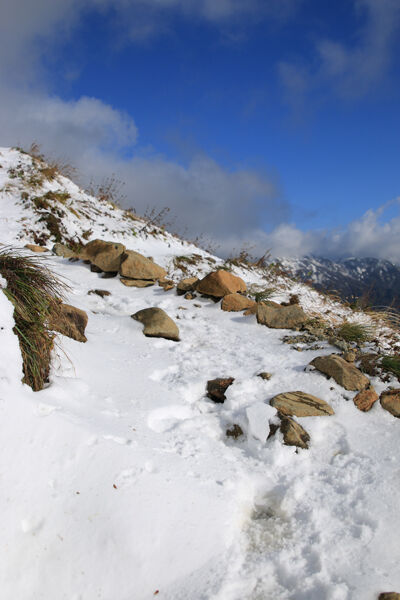 20231007karamatudake-014