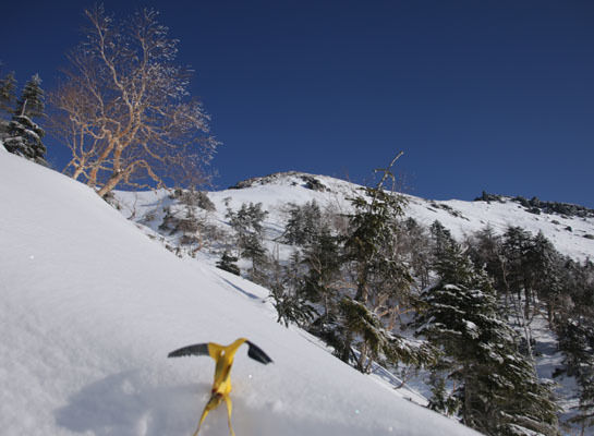 20160227yatugatake-003.jpg