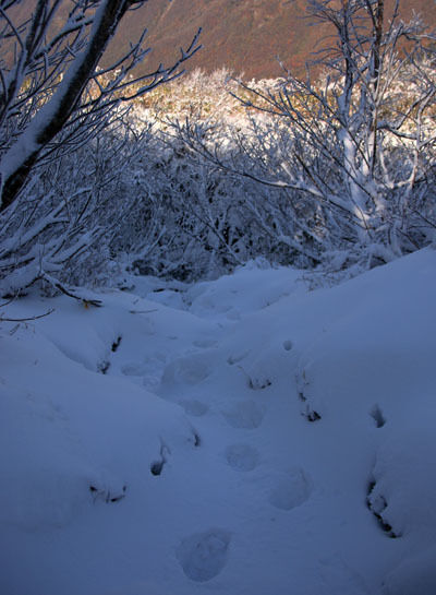 20161104amakazariyama-045.jpg