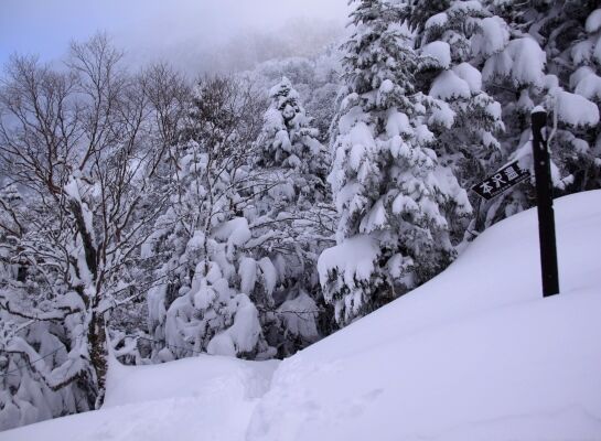 20131221yatugatake-119.jpg