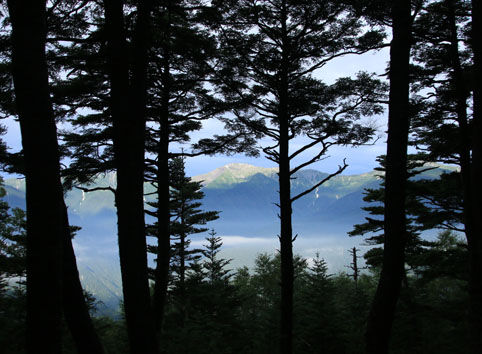 20140803hououhigaeri-010.jpg