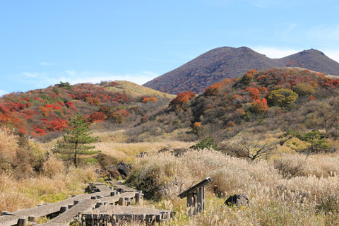 20191101kujyu-010