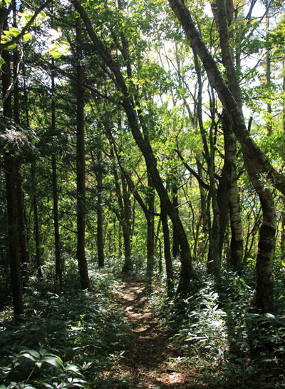 20151008kisokoma-013.jpg