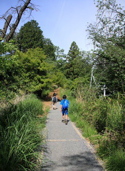 20150523takaosan-008.jpg