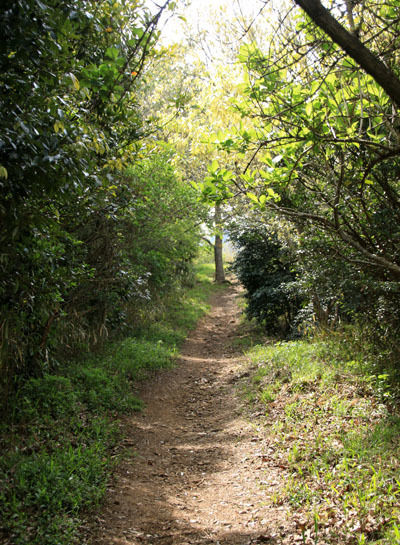 20150521numadu-011.jpg