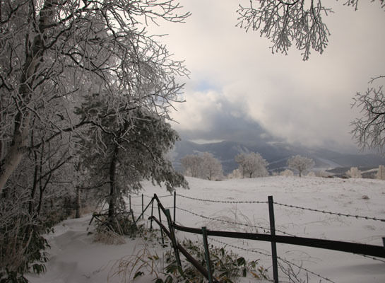 20161210azumayasan-027.jpg