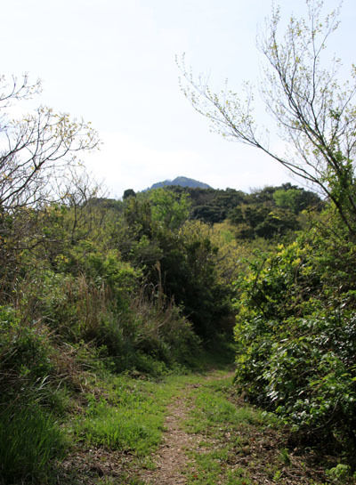 20150521numadu-008.jpg
