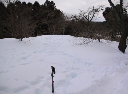 20140223takaosan-009.jpg