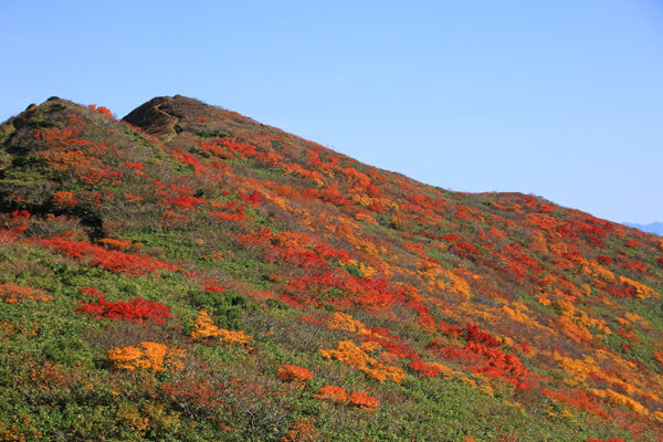 20171012yakeishidake-022.jpg