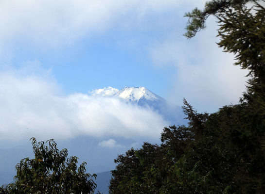 20151018ogiyama-012.jpg