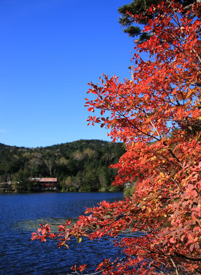 20161007mugikusatouge-008.jpg