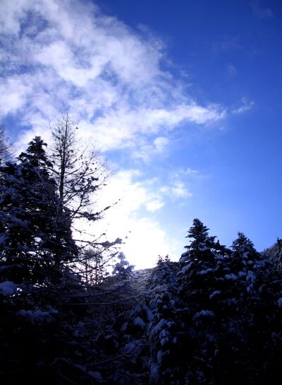 20140111yatugatake-004