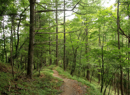 20140803hououhigaeri-029.jpg