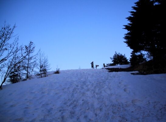 20140322mitugashira-001.jpg