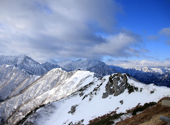 20141123tubakuro-013.jpg