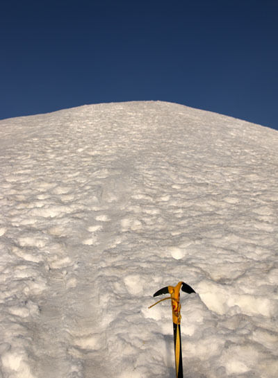 20160409karamatudake-010.jpg