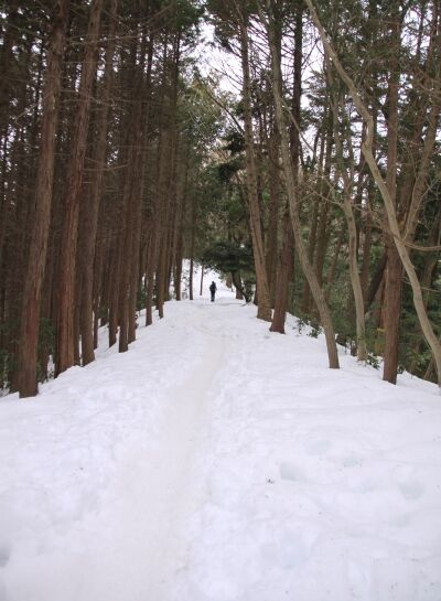 20140223takaosan-005
