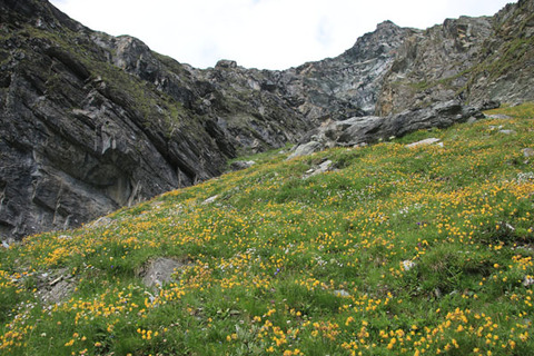20190727to-dix-004