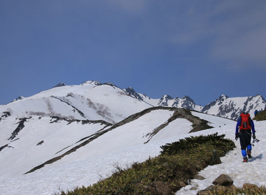 20150425karmatudake-008.jpg