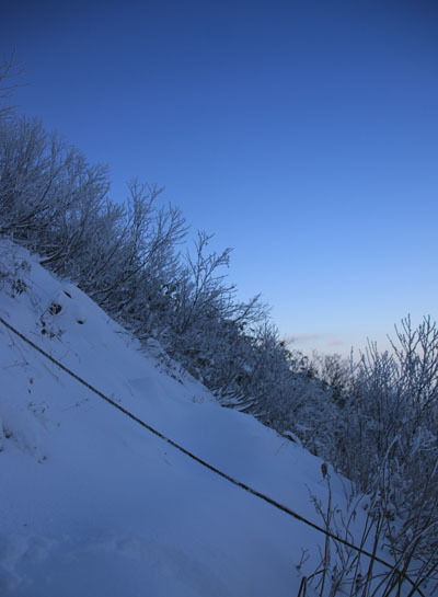 20161104amakazariyama-024.jpg