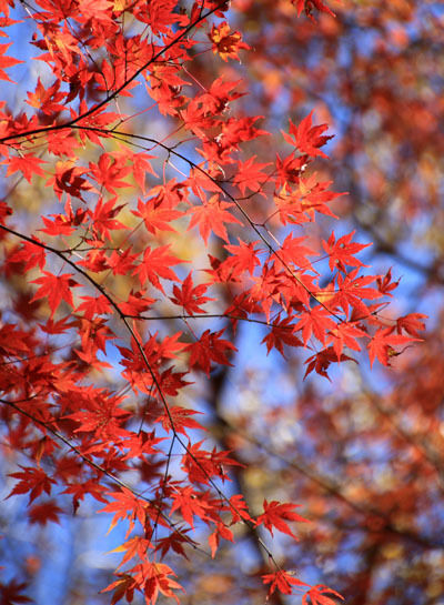 20151205nantaisan-021.jpg