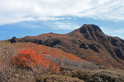 20191101kujyu-023