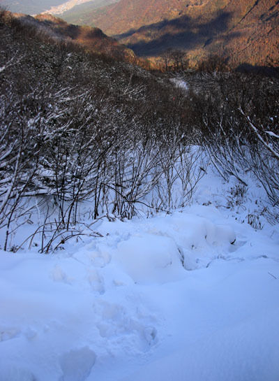20161104amakazariyama-021.jpg