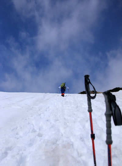 20150425karmatudake-013.jpg