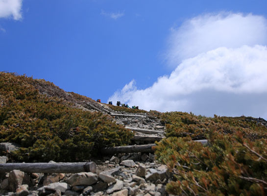 20160429chogatake-025.jpg