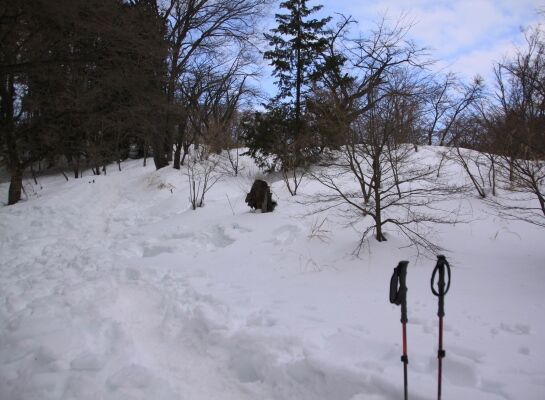 20140223takaosan-008.jpg