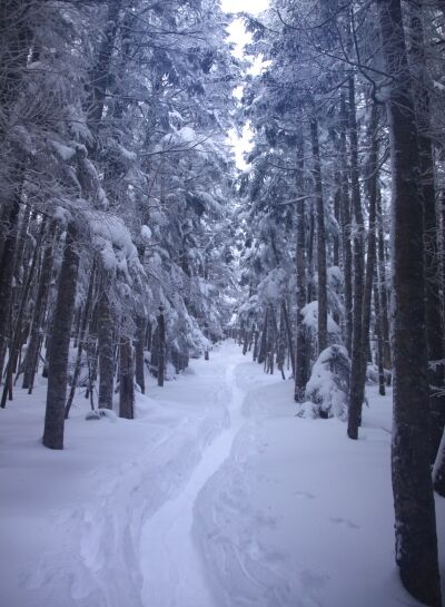 20140111yatugatake-018