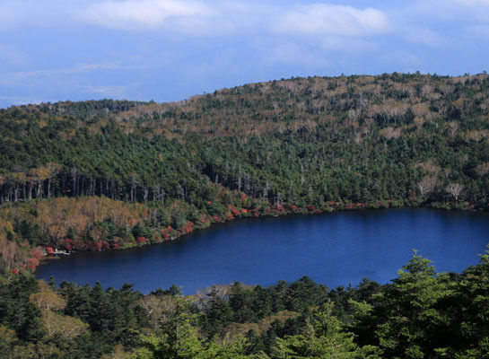 20161007mugikusatouge-012.jpg