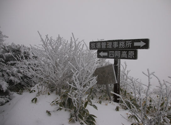 20161210azumayasan-009.jpg