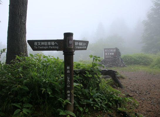 20160716yakushidake-004.jpg