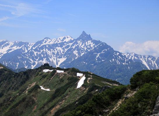 20160618tubakurodake-028.jpg