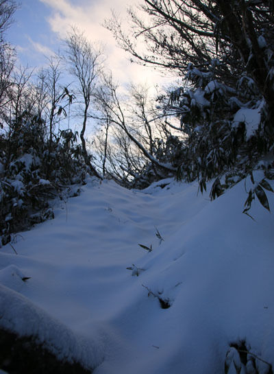 20161104amakazariyama-018.jpg